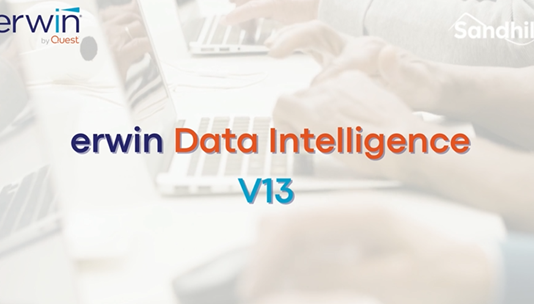 erwin Data Intelligence 13 New Features
